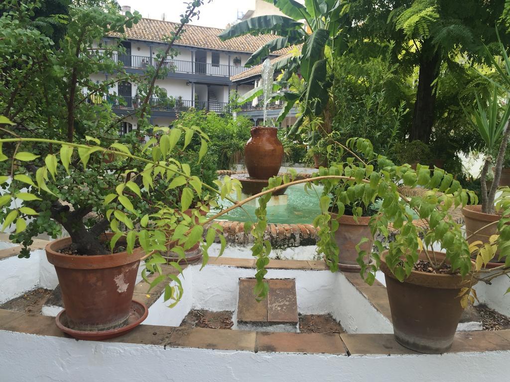 Oasis En El Centro De Sevilla Экстерьер фото